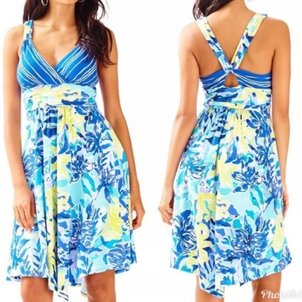 Lilly Pulitzer Hadley Dress Size Large